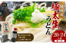 本場さぬきうどん一晩熟成極太生うどん 極太満足セット 極太生うどん300g×10袋、つゆ20ml×8、しょうゆうどんつゆ200ｍl 1本 F5J-160