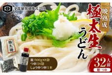 本場の味さぬきうどん 熟成極太生うどん500g×8袋 つゆ、しょうゆつゆ付 F5J-162