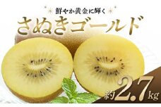 【先行予約】《2025年10月中旬～11月中旬頃お届け》 キウイ さぬきゴールド 鮮やか黄金に輝く ゴールドキウイ 約2.7kg 香川県産 大粒キウイ キウイフルーツ ゴールデンキウイ フルーツ 果物 くだもの 旬のフルーツ 旬の果物 香川  香川県共通返礼品 F5J-543
