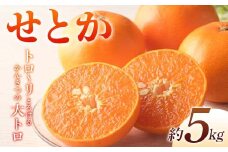 【先行予約】《2026年2月上旬～3月中旬頃お届け》 みかん せとか 約5kg トロ～リとろけるかんきつの大トロ 柑橘 完熟 みかん ミカン 果物 フルーツ くだもの 国産 せとか フルーツ 旬 果物 香川県三豊市共通返礼品  F5J-538