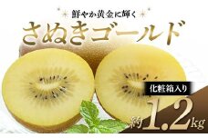 【先行予約】《2025年10月中旬～11月中旬頃お届け》 さぬきゴールド 鮮やか黄金に輝く ゴールドキウイ 化粧箱約1.2kg 香川県産 大粒キウイ キウイフルーツ ゴールデンキウイ フルーツ 果物 くだもの 旬のフルーツ 旬の果物 香川  香川県共通返礼品 F5J-542