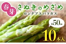 【先行予約2026年2月～5月頃お届け】春芽 さぬきのめざめ 約50㎝ロングアスパラガス 10本入り アスパラ サラダ お弁当 おかず フレッシュ 新鮮 琴平 香川 F5J-762