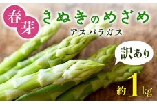 【先行予約2026年2月中旬～2026年6月下旬頃お届け】【訳あり】春芽 さぬきのめざめアスパラガス 約1kg 1万円 F5J-767