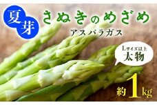夏芽 太物(Lサイズ以上) さぬきのめざめアスパラガス 約1kg  F5J-769