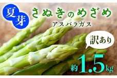 【訳あり】夏芽 さぬきのめざめアスパラガス 約1.5kg  F5J-772