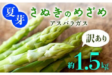 【訳あり】夏芽 さぬきのめざめアスパラガス 約1.5kg  F5J-772