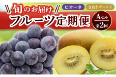 【フルーツ定期便 2回】 《ピオーネからスタート》 Aセット ピオーネ 約1.2kg さぬきゴールド 約2.7kg ぶどう キウイ キウイフルーツ 旬 果物 国産 香川県 フルーツ定期便 F5J-779