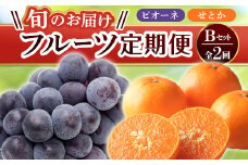 【フルーツ定期便 2回】 《ピオーネからスタート》 Bセット ピオーネ 約1.2kg せとか 約5kg ぶどう みかん 柑橘 旬 果物 国産 香川県 フルーツ定期便 F5J-780