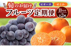 【フルーツ定期便 2回】 《せとかからスタート》 Bセット ピオーネ 約1.2kg せとか 約5kg ぶどう みかん 柑橘 旬 果物 国産 香川県 フルーツ定期便 F5J-780
