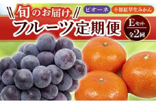 【フルーツ定期便 2回】 《ピオーネからスタート》 Eセット ピオーネ 約1.2kg 小原紅早生みかん 約4.5kg ぶどう みかん 旬 果物 国産 香川県 フルーツ定期便 F5J-783