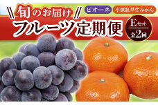【フルーツ定期便 2回】 《小原紅早生みかんからスタート》 Eセット ピオーネ 約1.2kg 小原紅早生みかん 約4.5kg ぶどう みかん 旬 果物 国産 香川県 フルーツ定期便 F5J-783