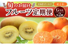 【フルーツ定期便 2回】 《さぬきゴールドからスタート》 G セット さぬきゴールド 約2.7kg せとか 約5kg  キウイ キウイフルーツ みかん 柑橘 旬 果物 国産 香川県 フルーツ定期便 F5J-785