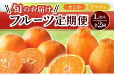 【フルーツ定期便 2回】 《せとかからスタート》 Lセット せとか 約5kg デコポン 約5kg  みかん 柑橘 旬 果物 国産 香川県 フルーツ定期便 F5J-790