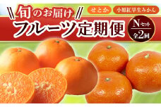 【フルーツ定期便 2回】 《小原紅早生みかんからスタート》 Nセット 小原紅早生みかん 約4.5kg せとか 約5kg みかん 柑橘 旬 果物 国産 香川県 フルーツ定期便 F5J-792