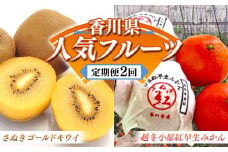 【人気フルーツ定期便A 2回】 《さぬきゴールドキウイからスタート》 さぬきゴールドキウイ 約1kg 越冬小原紅早生 約1kg キウイ キウイフルーツ  みかん 柑橘 旬 果物 国産 香川県 フルーツ定期便 F5J-927