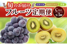【フルーツ定期便 3回】 《ピオーネからスタート》 Cセット ピオーネ 約1.2kg さぬきゴールド 約2.7kg 香緑 約3kg ぶどう キウイ キウイフルーツ 旬 果物 国産 香川県 フルーツ定期便 F5J-795