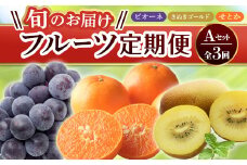 【フルーツ定期便 3回】 《ピオーネからスタート》 Aセット ピオーネ 約1.2kg さぬきゴールド 約2.7kg せとか 約5kg ぶどう キウイ キウイフルーツ みかん 柑橘 旬 果物 国産 香川県 フルーツ定期便 F5J-793