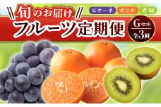 【フルーツ定期便 3回】 《ピオーネからスタート》 Gセット ピオーネ 約1.2kg 香緑 約3kg せとか 約5kg ぶどう キウイ キウイフルーツ みかん 柑橘 旬 果物 国産 香川県 フルーツ定期便 F5J-799
