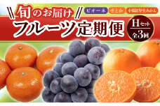【フルーツ定期便 3回】 《ピオーネからスタート》 Hセット ピオーネ 約1.2kg 小原紅早生みかん 約4.5kg せとか 約5kg ぶどう みかん 柑橘 旬 果物 国産 香川県 フルーツ定期便 F5J-800