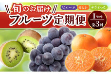 【フルーツ定期便 3回】 《キウイっこからスタート》 Iセット ピオーネ 約1.2kg キウイっこ 約1.8kg せとか 約5kg ぶどう キウイ キウイフルーツ みかん 柑橘 旬 果物 国産 香川県 フルーツ定期便 F5J-801