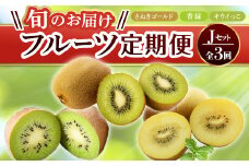 【フルーツ定期便 3回】 《さぬきゴールドからスタート》 Jセット さぬきゴールド 約2.7kg 香緑 約3.0kg キウイっこ 約1.8kg キウイ キウイフルーツ 旬 果物 国産 香川県 フルーツ定期便 F5J-802