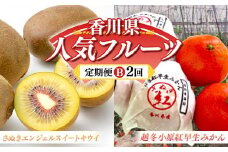 【人気フルーツ定期便B 2回】 《さぬきエンジェルＳキウイからスタート》 さぬきエンジェルＳキウイ 約1kg 越冬小原紅早生 約1kg キウイ キウイフルーツ  みかん 柑橘 旬 果物 国産 香川県 フルーツ定期便 F5J-928