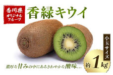 【先行予約2025年12月～2026年3月頃お届け】香緑キウイ (小玉サイズ) 約1kg フルーツ 果物 くだもの キウイ 香緑 小玉 デザート キウイフルーツ 食品 名産 四国 1万円 F5J-917
