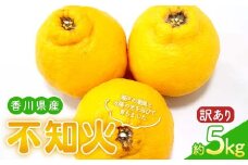 【先行予約 2026年2月～3月頃お届け】 訳あり家庭用不知火(約5kg) しらぬひ しらぬい 柑橘 果物 香川県 琴平町 フルーツみかん 旬 F5J-955