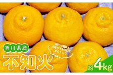 【先行予約 2026年2月～3月頃お届け】 不知火(約4kg) しらぬひ しらぬい 柑橘 果物 香川県 琴平町 フルーツみかん 旬 F5J-954