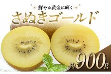 【先行予約】《2025年10月～2026年1月頃お届け》 さぬきゴールド 鮮やか黄金に輝く ゴールドキウイ 約900g 香川県産 大粒キウイ キウイフルーツ ゴールデンキウイ フルーツ 果物 くだもの 旬のフルーツ 旬の果物 香川  香川県共通返礼品 F5J-1022