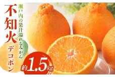 【先行予約】《2026年3月頃お届け》 デコポン 瀬戸内の果汁溢れるみかん 不知火 約1.5kg しらぬい みかん 柑橘 フルーツ 旬 でこぽん デコポン 厳選 F5J-1024