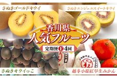 【人気フルーツ定期便E 4回】《さぬきゴールドキウイからスタート》さぬきゴールド さぬきエンジェルスイートキウイ さぬきキウイっこ 越冬小原紅早生みかん　各約1kg キウイ みかん 旬 フルーツ 果物 国産 香川県 F5J-1025