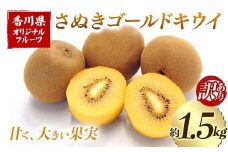 【先行予約2025年10月～2025年12月頃お届け】 訳ありさぬきゴールドキウイ (約1.5kg) フルーツ 果物 くだもの ゴールド キウイ キウイフルーツ さぬき ゴールドキウイ デザート 食品 名産 四国 1万円 F5J-1064