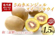 【先行予約2025年11月～2025年12月頃お届け】 訳ありさぬきエンジェルスイートキウイ(約1.5kg) フルーツ 果物 くだもの キウイ さぬき エンジェルスイートキウイ デザート 食品 名産 オリジナル品種 四国 1万円 F5J-1065