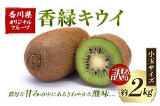 【先行予約2025年12月～2026年3月頃お届け】訳あり香緑キウイ (小玉サイズ) (約2kg) フルーツ 果物 くだもの キウイ 香緑 小玉 デザート キウイフルーツ 食品 名産 四国 1万円 F5J-1066