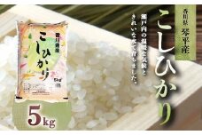 令和7年度産 新米 香川県琴平産コシヒカリ 5kg 《入金後2週間以内に発送》 銘柄米 ブランド米 国産 こしひかり コシヒカリ 米 精米 お米 ライス ギフト 贈り物 四国 F5J-1075
