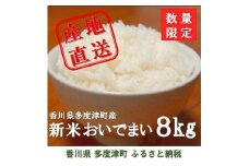 多度津町産 新米 おいでまい【予約：令和7年産新米:11月頃より発送】（白米８kg）【A-11】