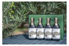 「蒼のダイヤ」オリーブオイルセットE【予約受付中！11月中旬以降発送】【E-3】