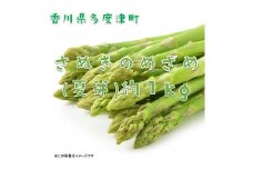 さぬきのめざめ（夏芽）【令和7年6月中旬頃より発送！予約受付中！】【A-27】