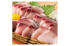 オリーブはまち１本まるごと（半身カット）【予約受付：令和7年10月中旬頃から出荷開始！】【C-312】