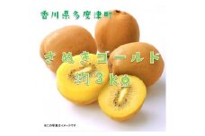 香川県オリジナルキウイフルーツ『さぬきゴールド』約3kg【予約受付中！令和7年10月中旬頃から発送】【B-17】