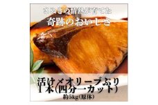 活け〆オリーブぶり１本（四分一カット）【12月頃から出荷開始！】【D-513】