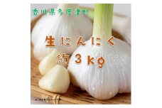 多度津町産　生にんにく（予約受付中！令和7年5月上旬頃から発送）【B-22】