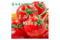 ミニトマト　約３kg【10月下旬より6月下旬まで限定発送！！】【B-23】