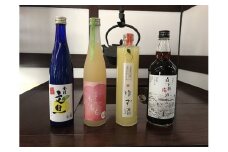 金陵　リキュール飲み比べ４本セット【B-25】