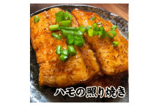 鱧の照り焼き（100g×5切れ）【冷凍】【A-44】