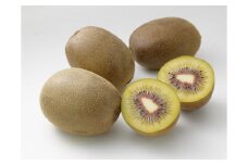 香川県オリジナルキウイフルーツ「さぬきエンジェルスイート」約2.5kg【予約受付中！令和7年11月中旬頃から発送】【B-30】