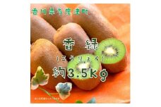 香川県オリジナルキウイフルーツ「香緑」約3.5kg【予約受付中！令和7年11月下旬頃から発送】【B-31】