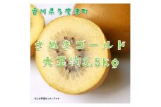 香川県オリジナルキウイフルーツ『さぬきゴールド』大玉約3.5kg【予約受付中！令和7年10月中旬頃から発送】【C-16】