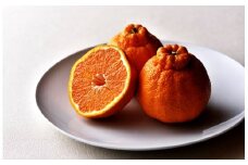 不知火（デコポン）ハウス栽培 約3kg【予約受付中！令和7年12月下旬頃～】【B-32】